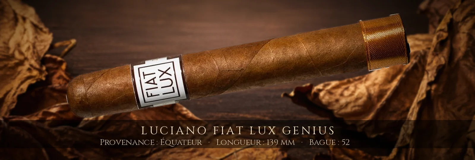 Luciano Fiat Lux Genius — Luciano — Équateur