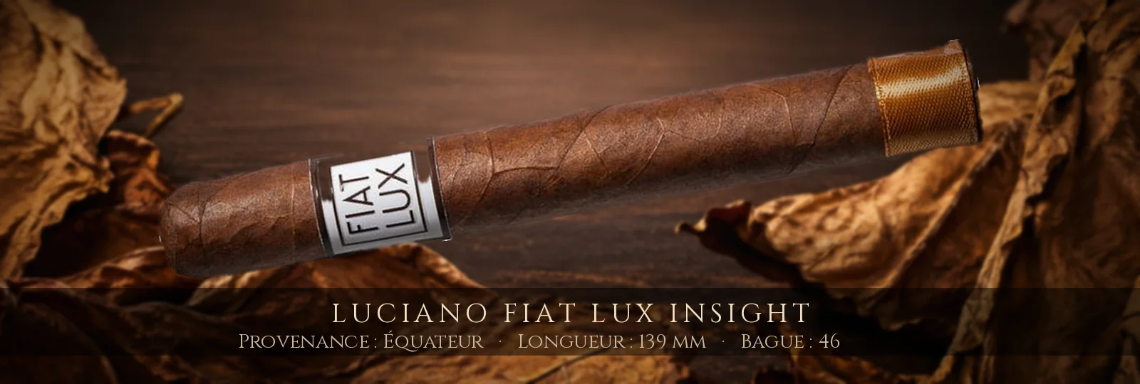 Luciano Fiat Lux Insight — Luciano — Équateur