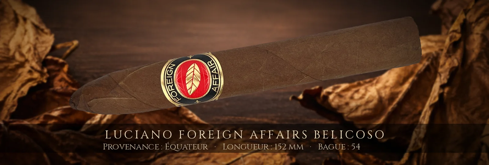 Luciano Foreign Affairs Belicoso — Luciano — Équateur
