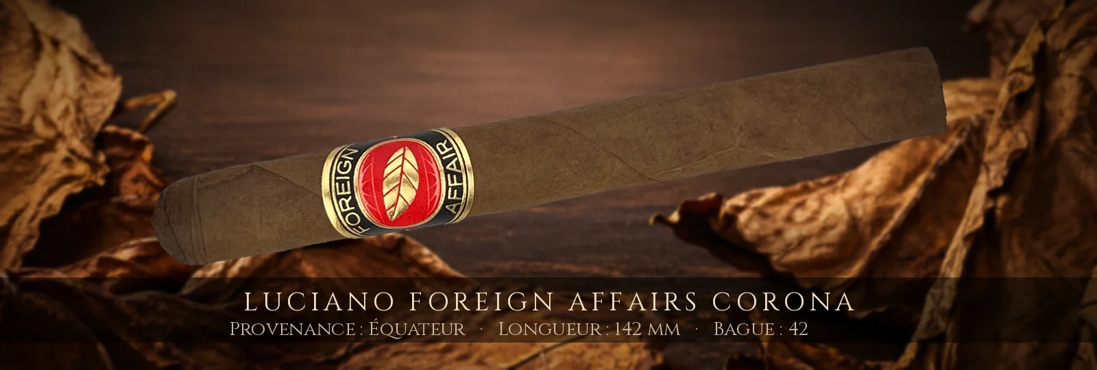 Luciano Foreign Affairs Corona — Luciano — Équateur