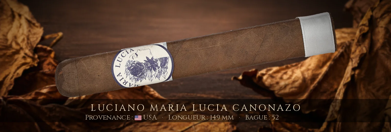 Luciano Maria Lucia Canonazo — Luciano — USA