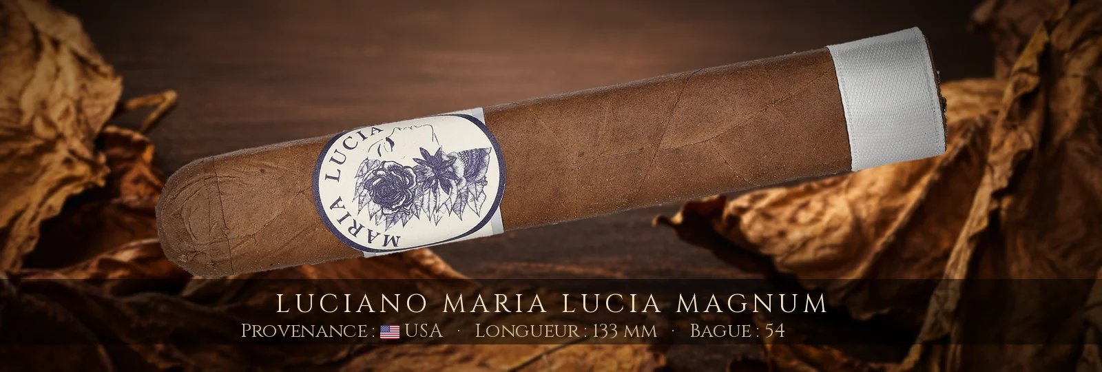Luciano Maria Lucia Magnum — Luciano — USA