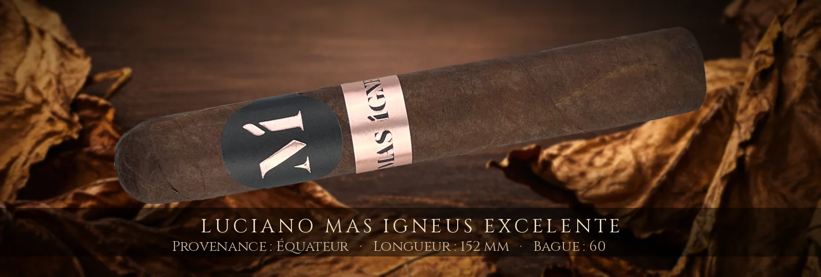 Luciano Mas Igneus Excelente — Luciano — Équateur