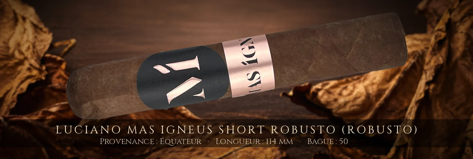 Luciano Mas Igneus Short Robusto (Robusto) — Luciano — Équateur