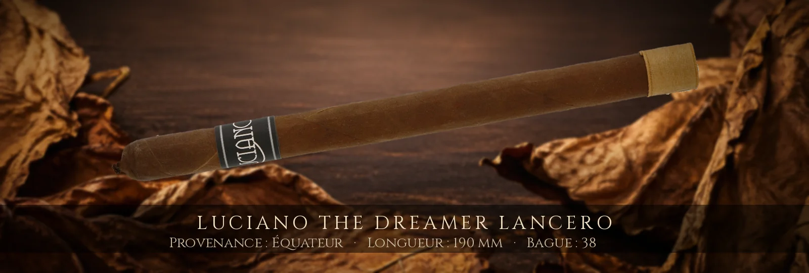 Luciano The Dreamer Lancero — Luciano — Équateur
