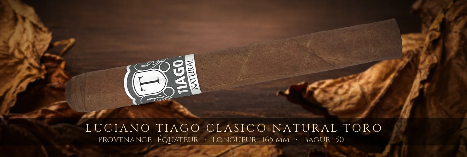 Luciano Tiago Clasico Natural Toro — Luciano — Équateur
