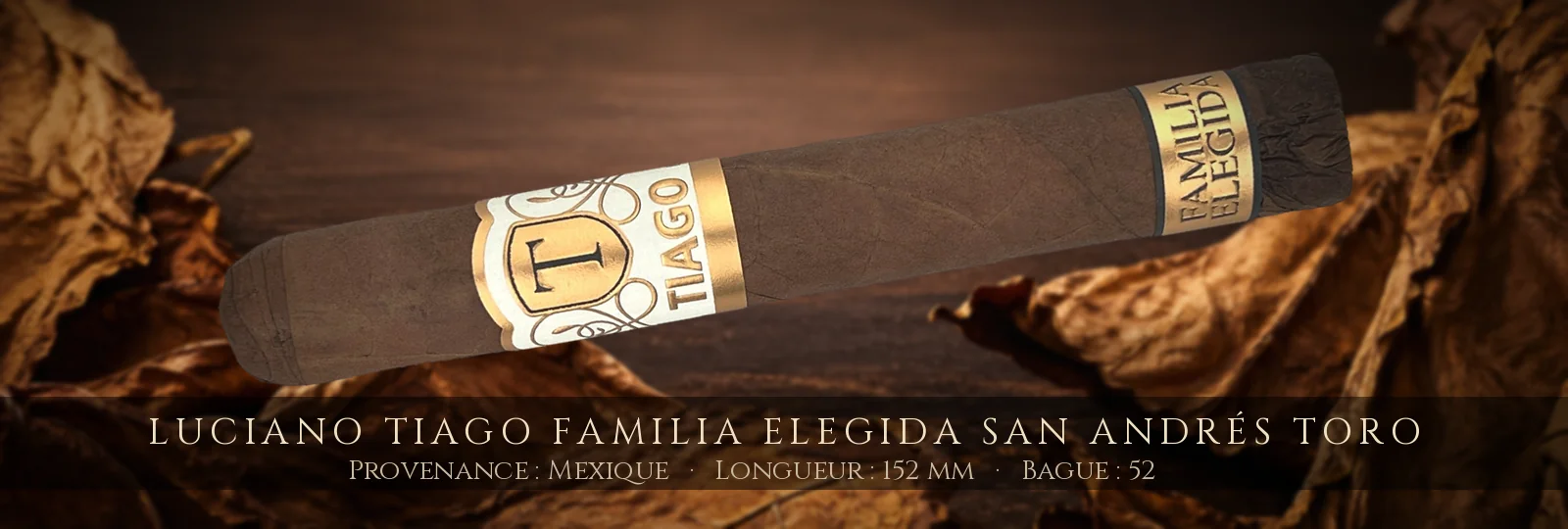 Luciano Tiago Familia Elegida San Andrés Toro — Luciano — Mexique