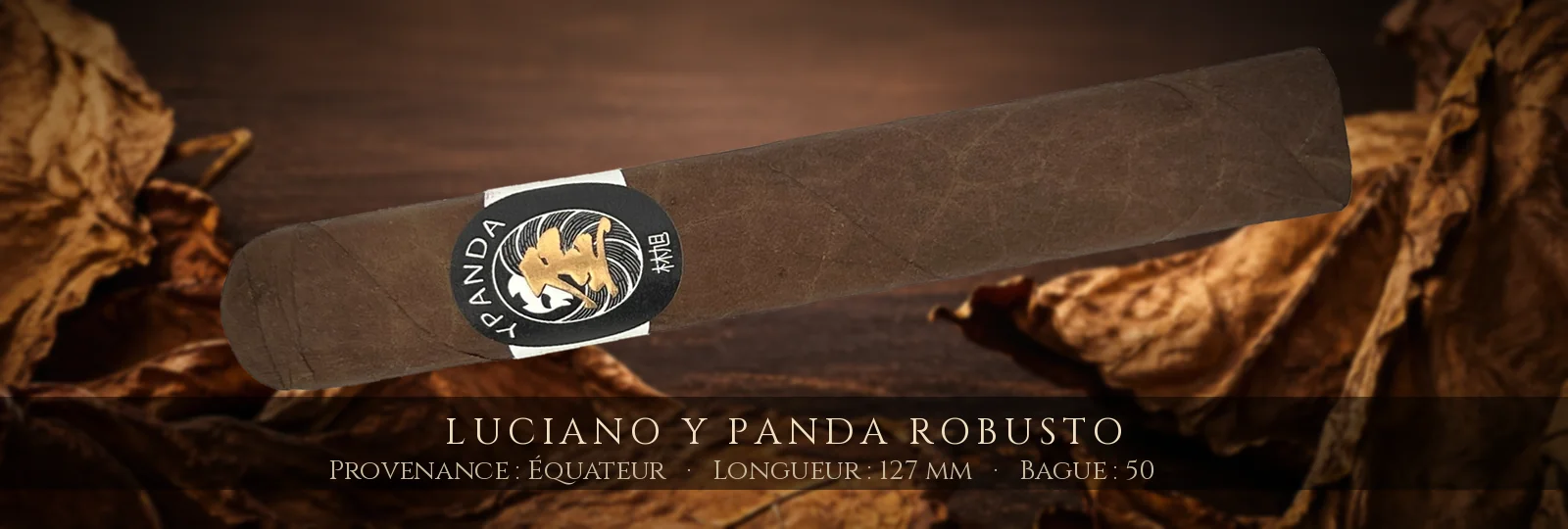 Luciano Y Panda Robusto — Luciano — Équateur