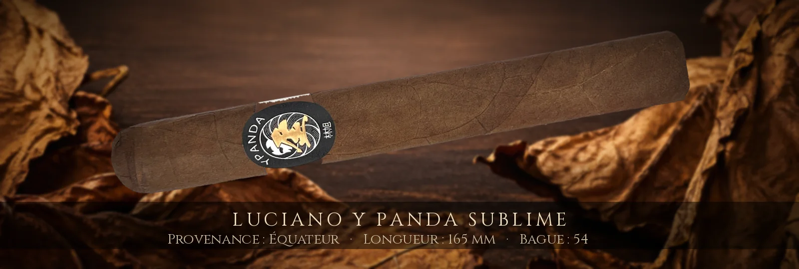 Luciano Y Panda Sublime — Luciano — Équateur