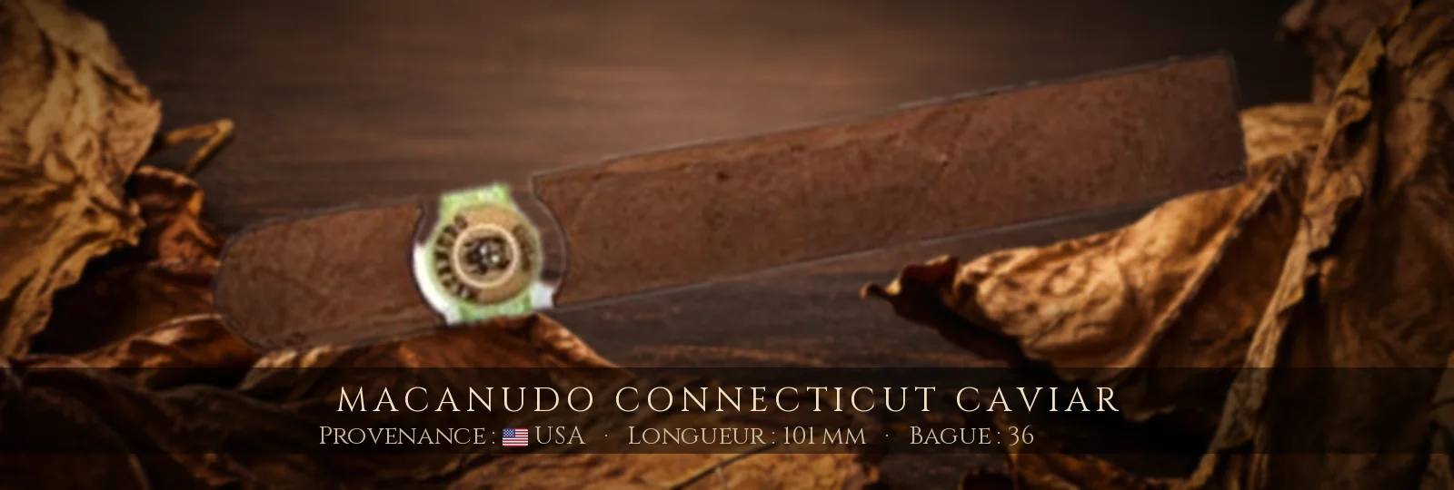 Macanudo Connecticut Caviar — Macanudo — USA