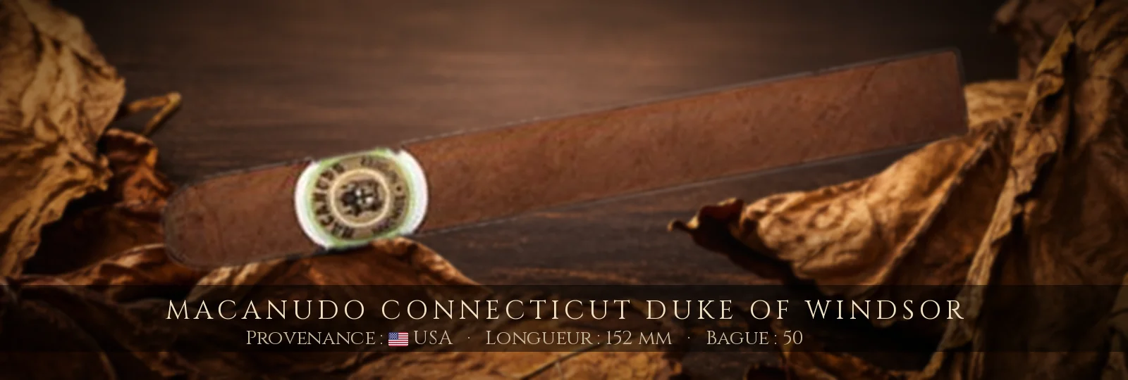 Macanudo Connecticut Duke of Windsor — Macanudo — USA