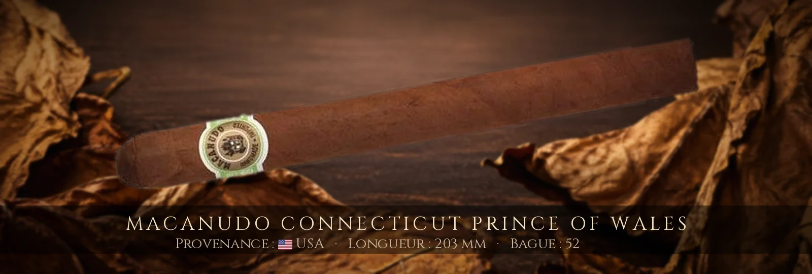 Macanudo Connecticut Prince of Wales — Macanudo — USA