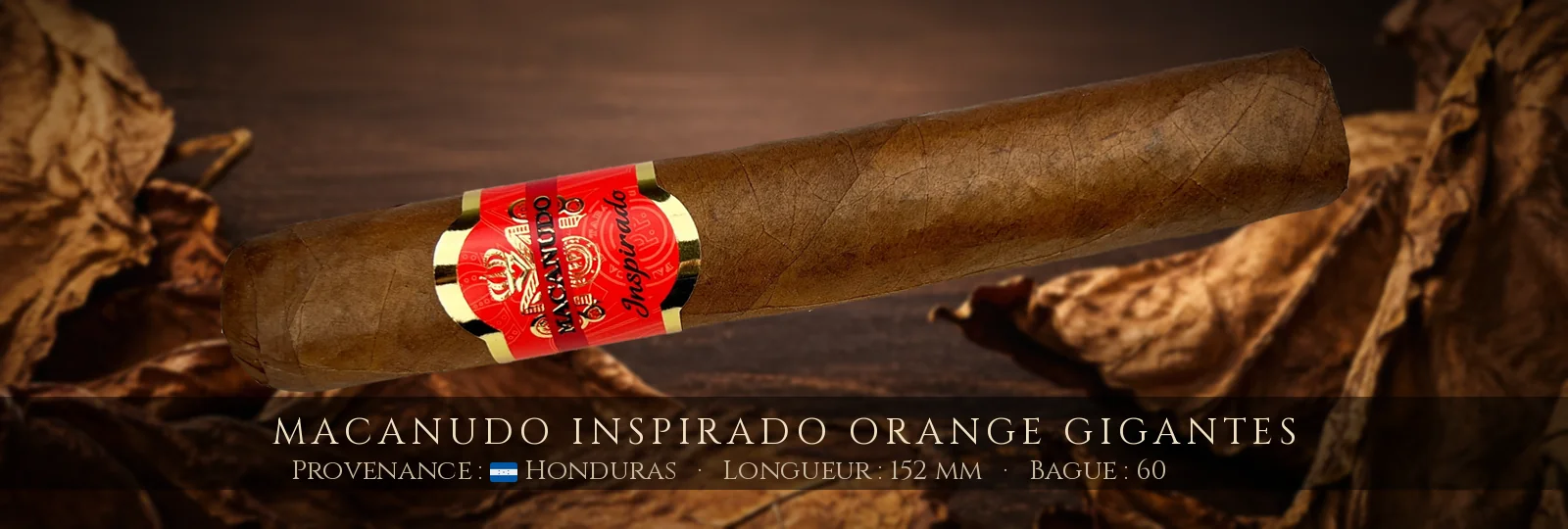 Macanudo Inspirado Orange Gigantes — Macanudo — Honduras