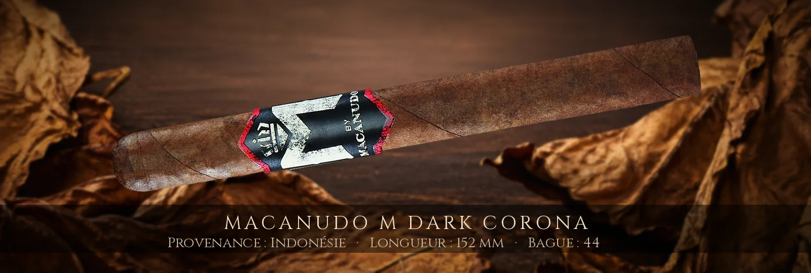 Macanudo M Dark Corona — Macanudo — Indonésie, Philippines