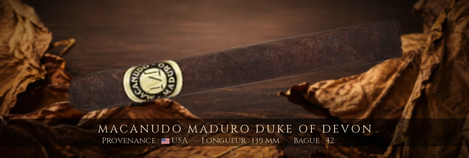 Macanudo Maduro Duke of Devon