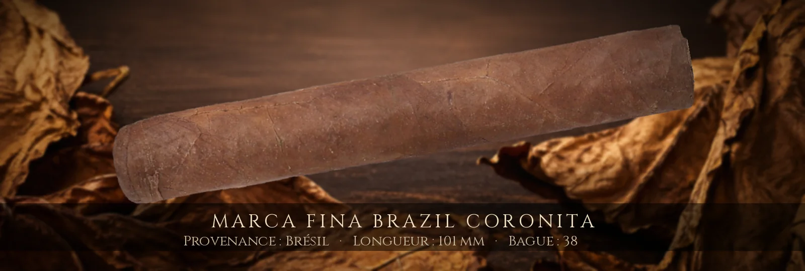 Marca Fina Brazil Coronita