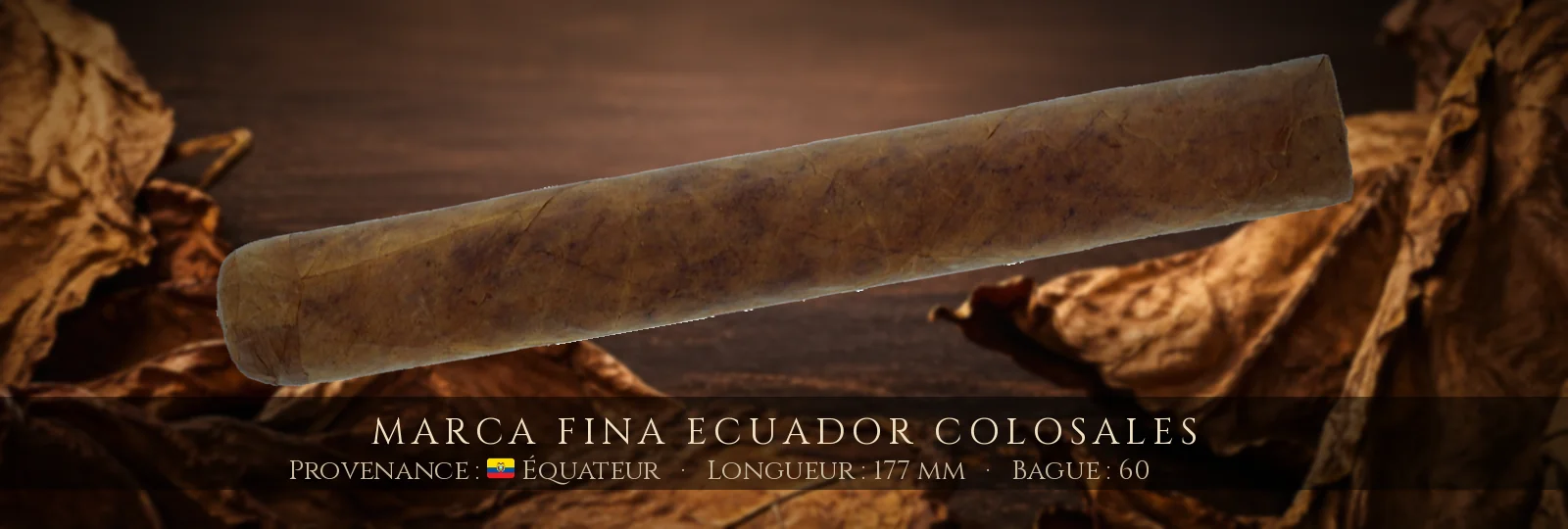 Marca Fina Ecuador Colosales — Marca Fina — Équateur