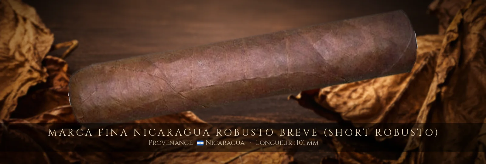 Marca Fina Nicaragua Robusto Breve (Short Robusto) — Marca Fina — Nicaragua
