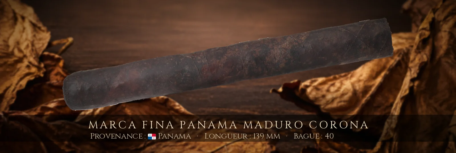 Marca Fina Panama Maduro Corona — Marca Fina — Panama