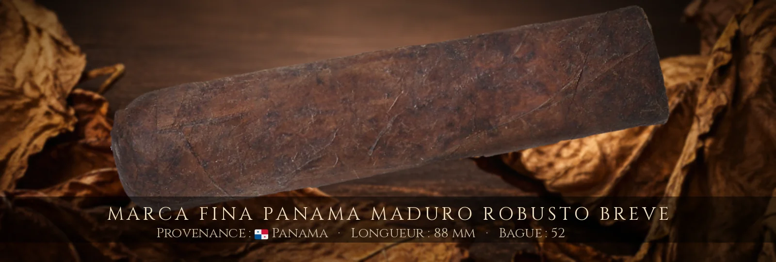 Marca Fina Panama Maduro Robusto Breve — Marca Fina — Panama