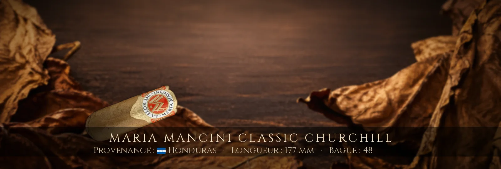 Maria Mancini Classic Churchill — Maria Mancini — Honduras