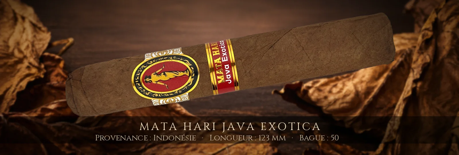 Mata Hari Java Exotica — Mata Hari — Indonésie