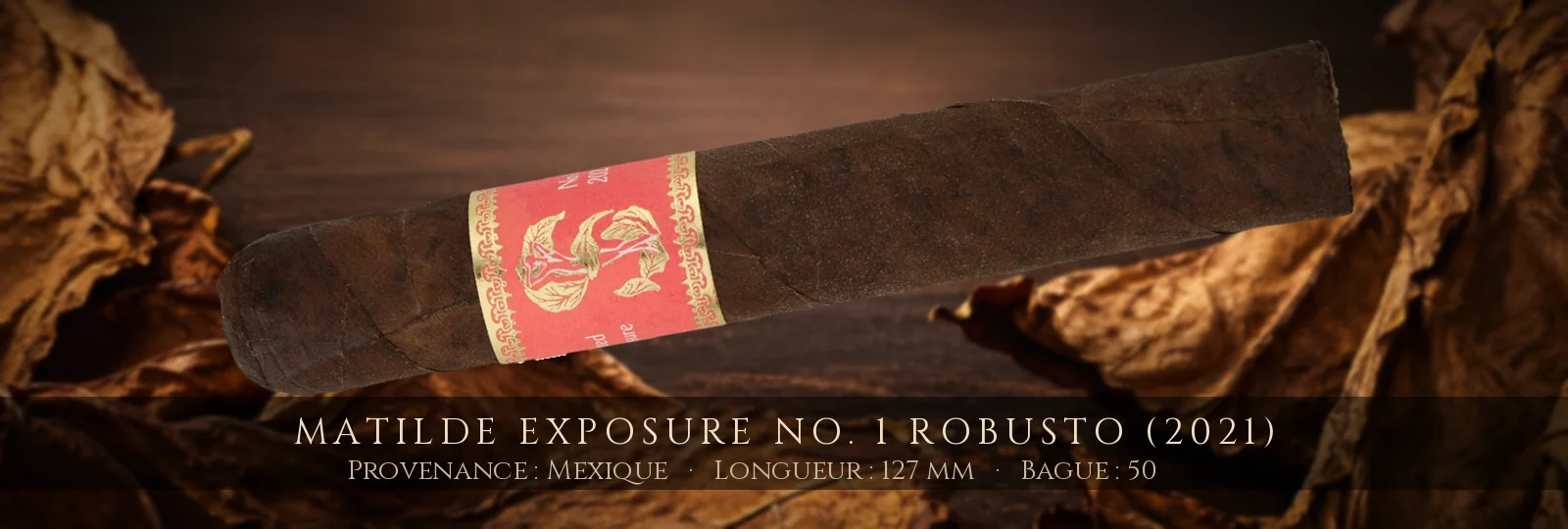 Matilde Exposure No. 1 Robusto (2021) — Matilde — Mexique