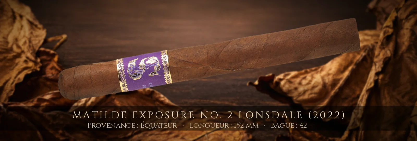 Matilde Exposure No. 2 Lonsdale (2022) — Matilde — Équateur
