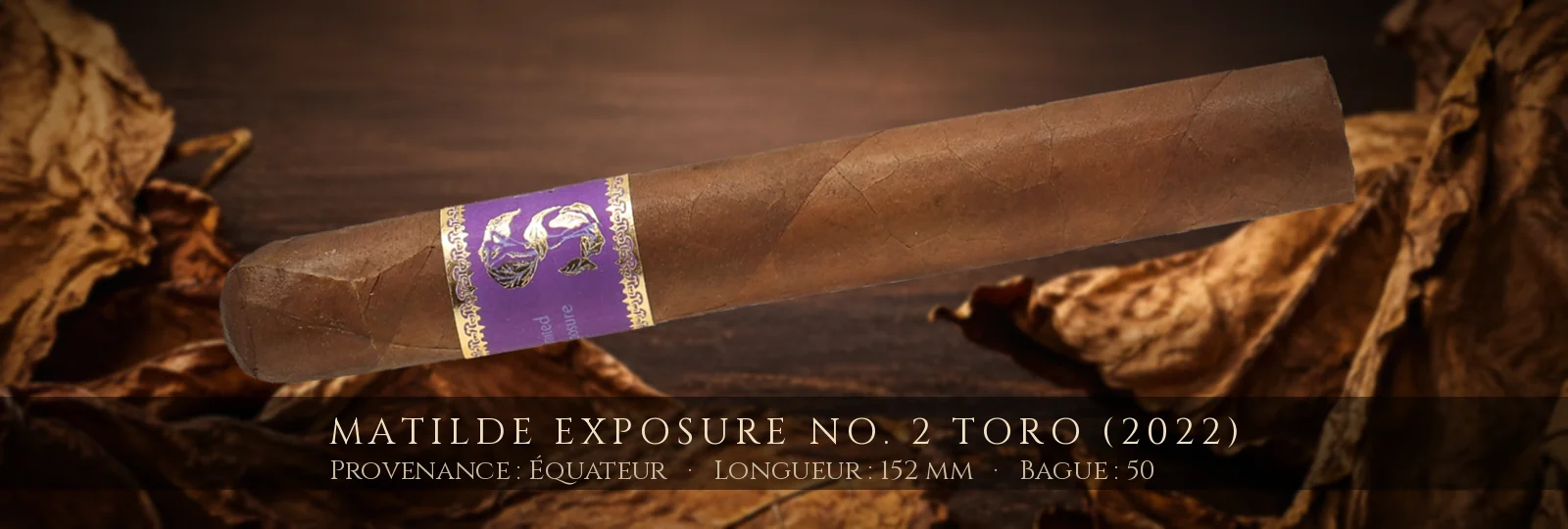 Matilde Exposure No. 2 Toro (2022) — Matilde — Équateur