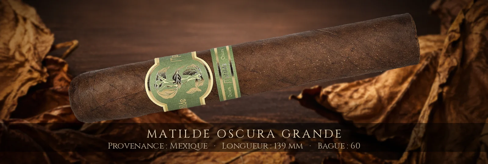 Matilde Oscura Grande — Matilde — Mexique
