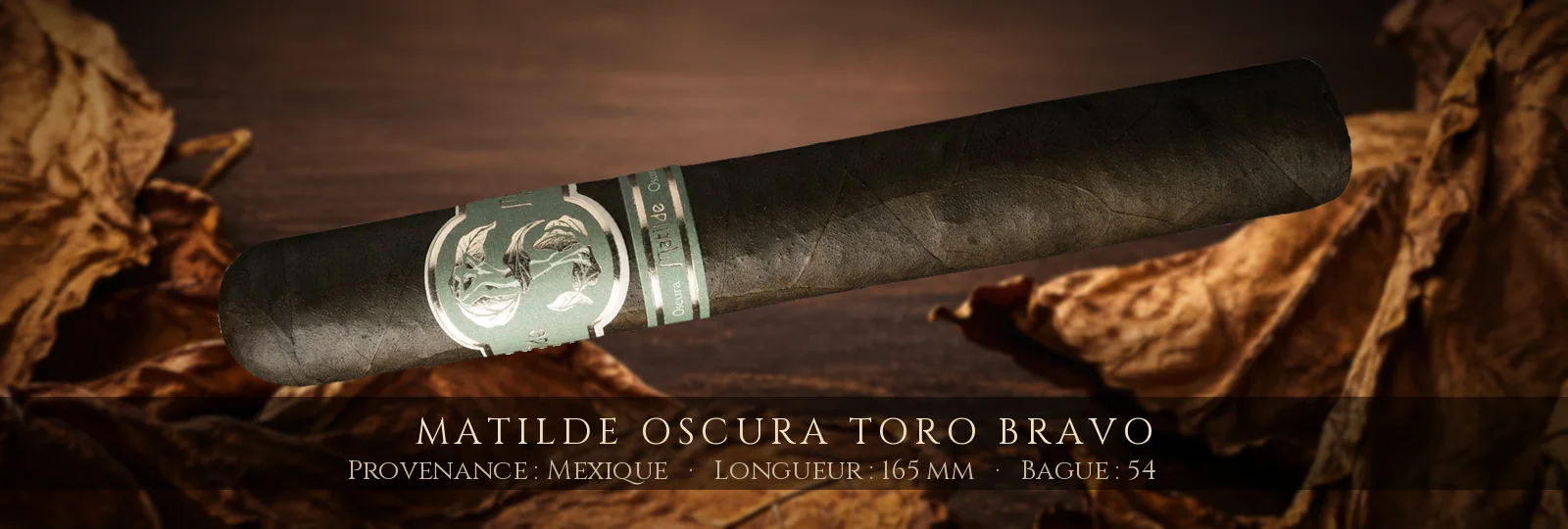 Matilde Oscura Toro Bravo — Matilde — Mexique