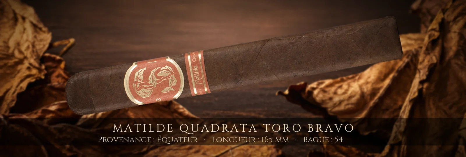 Matilde Quadrata Toro Bravo — Matilde — Équateur