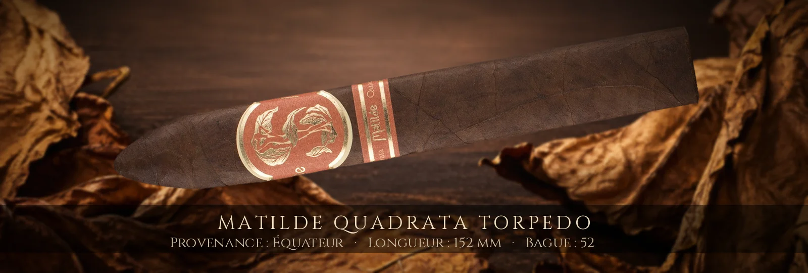 Matilde Quadrata Torpedo — Matilde — Équateur