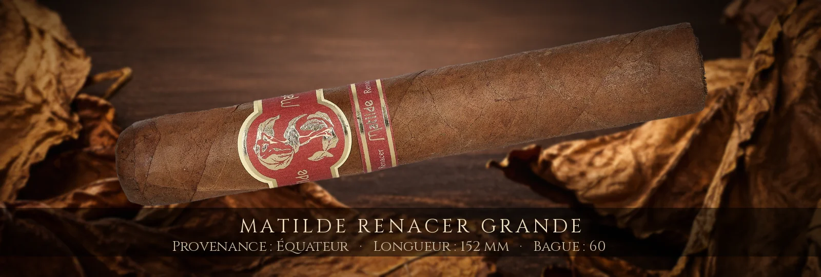 Matilde Renacer Grande — Matilde — Équateur