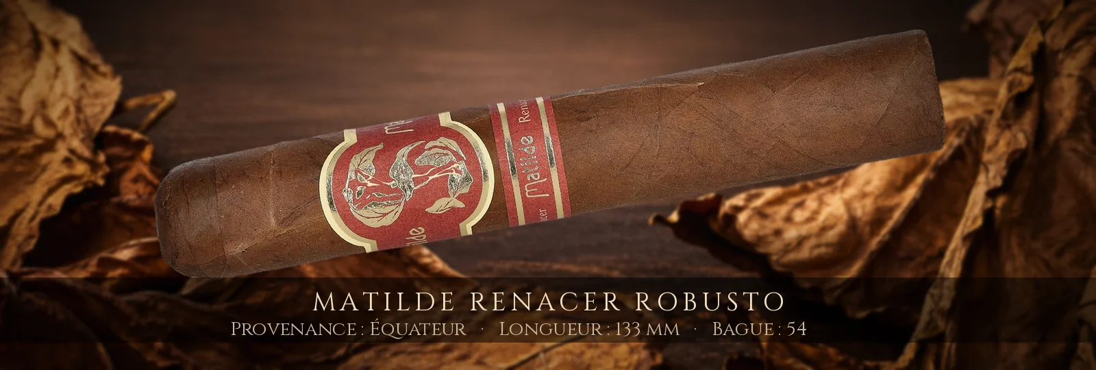 Matilde Renacer Robusto — Matilde — Équateur