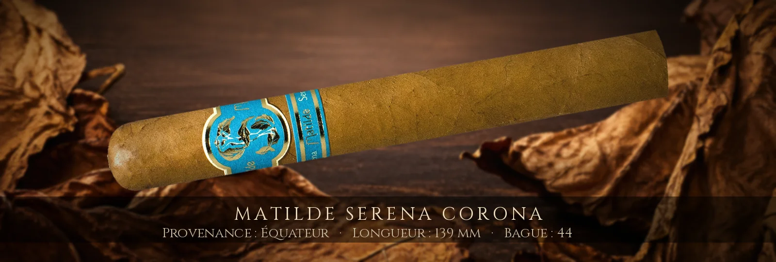 Matilde Serena Corona — Matilde — Équateur