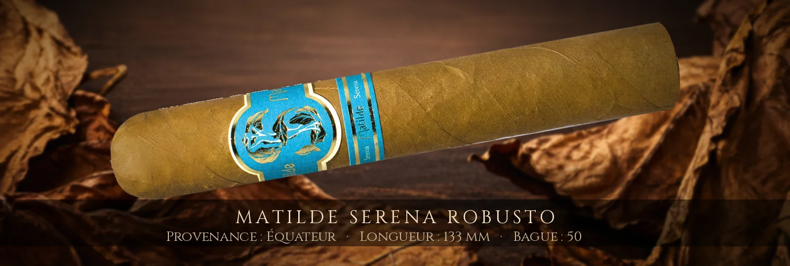 Matilde Serena Robusto — Matilde — Équateur