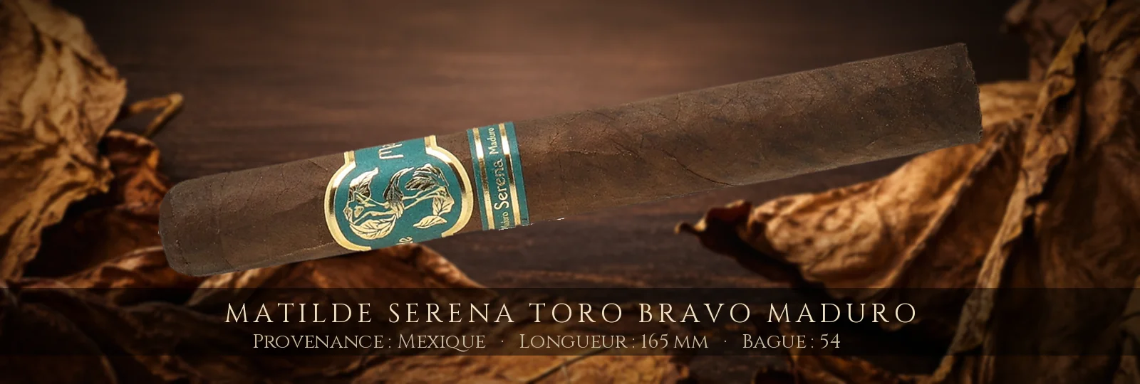 Matilde Serena Toro Bravo Maduro — Matilde — Mexique