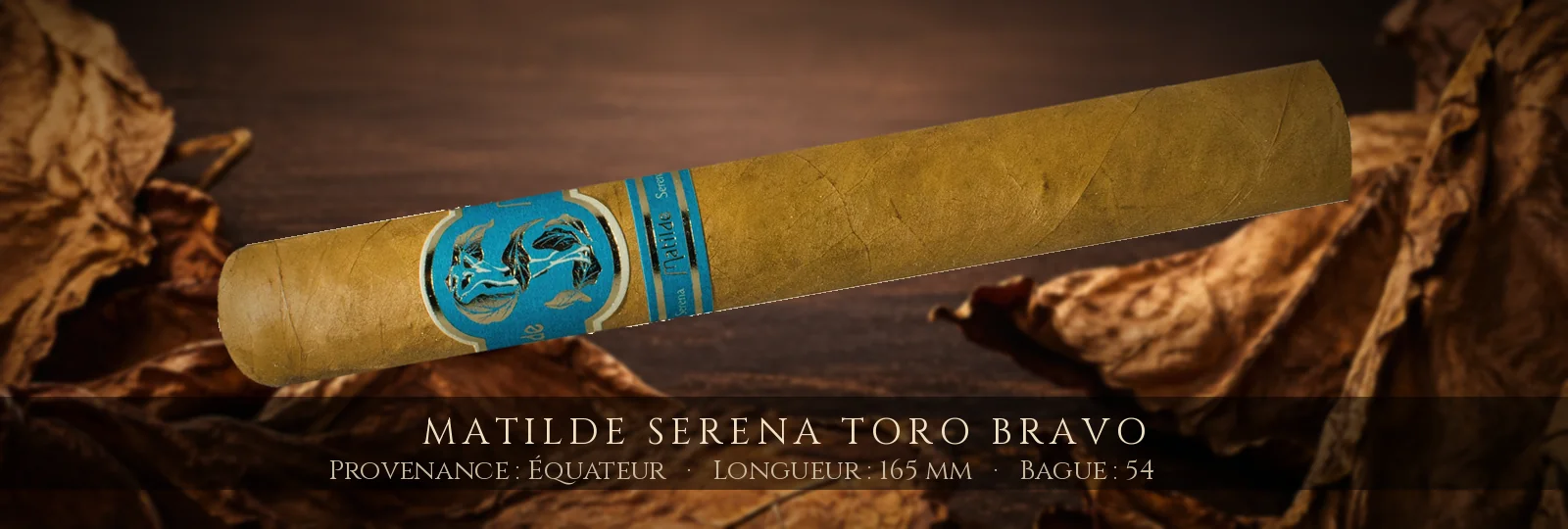 Matilde Serena Toro Bravo — Matilde — Équateur