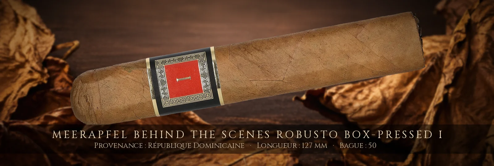Meerapfel Behind The Scenes Robusto Box-Pressed I — Meerapfel — République Dominicaine