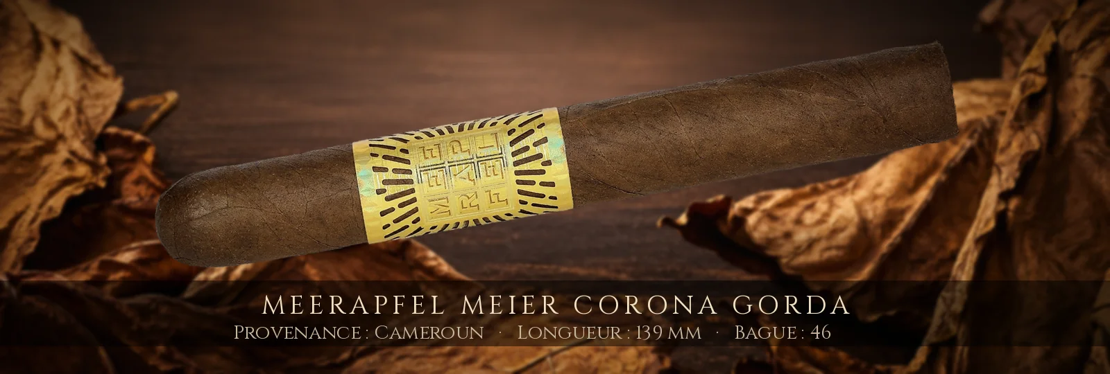 Meerapfel Meier Corona Gorda — Meerapfel — Cameroun