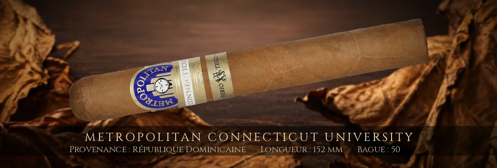 Metropolitan Connecticut University — Metropolitan — République Dominicaine