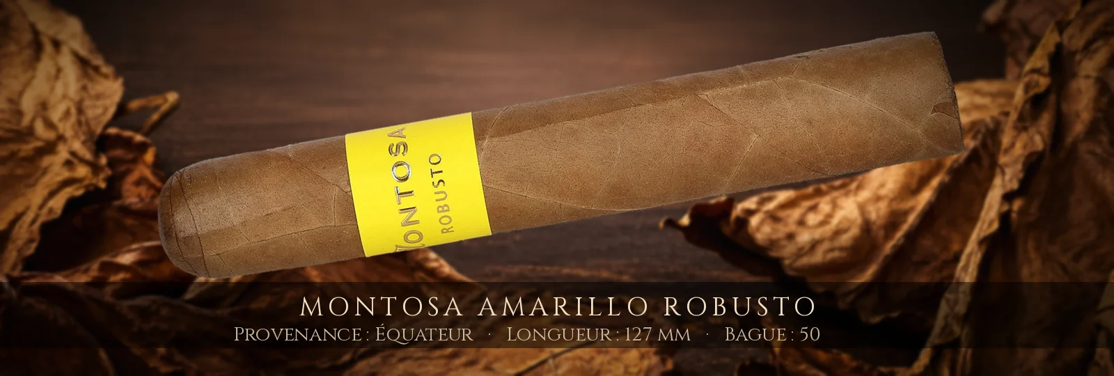 Montosa Amarillo Robusto — Montosa — Équateur
