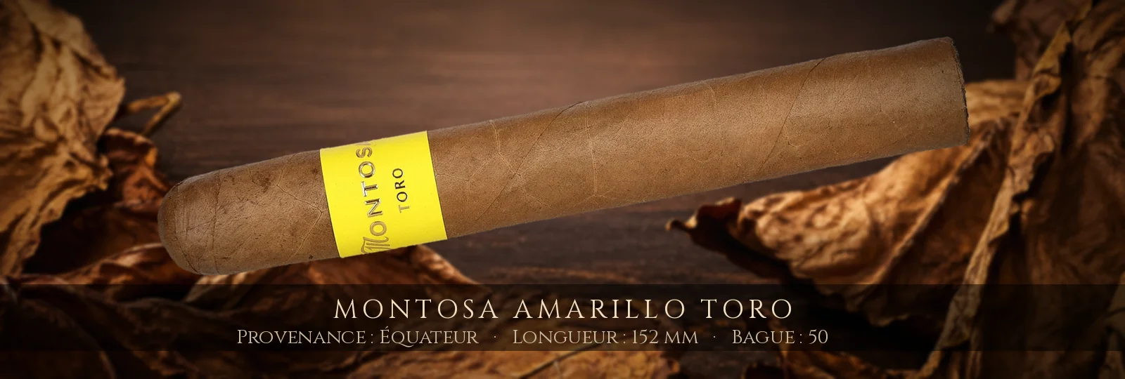 Montosa Amarillo Toro — Montosa — Équateur