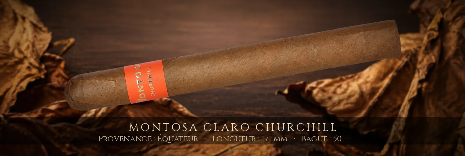 Montosa Claro Churchill — Montosa — Équateur
