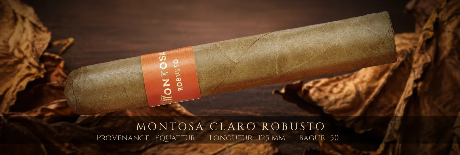 Montosa Claro Robusto — Montosa — Équateur