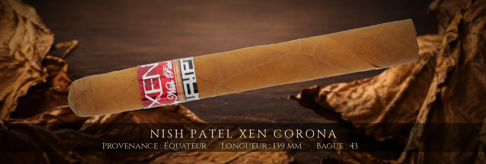 Nish Patel Xen Corona — Nish Patel — Équateur