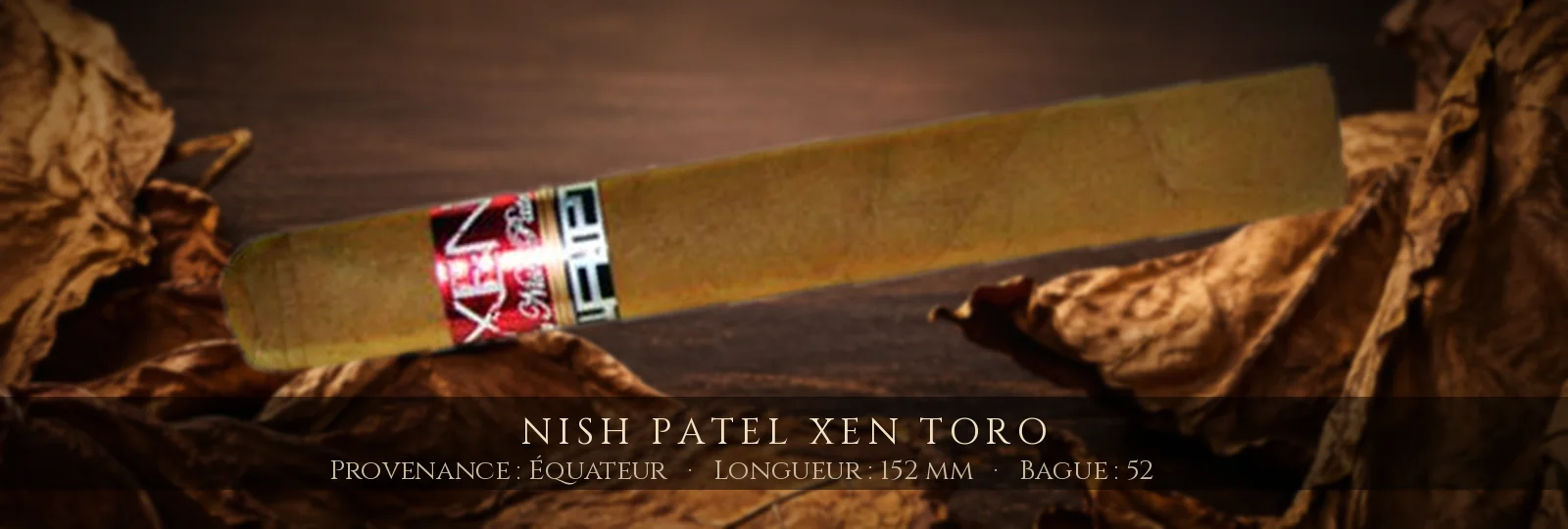 Nish Patel Xen Toro — Nish Patel — Équateur