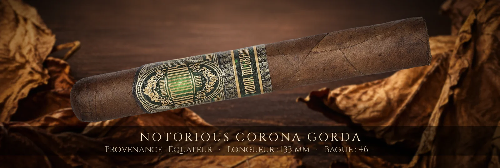 Notorious Corona Gorda — Notorious — Équateur