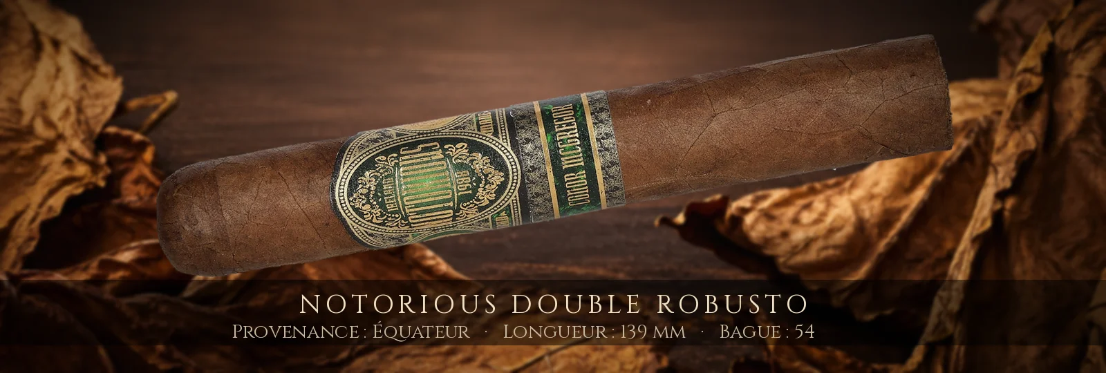 Notorious Double Robusto — Notorious — Équateur
